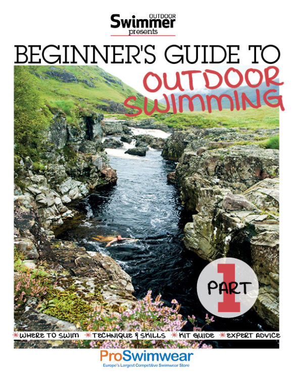 Beginnhers Guide