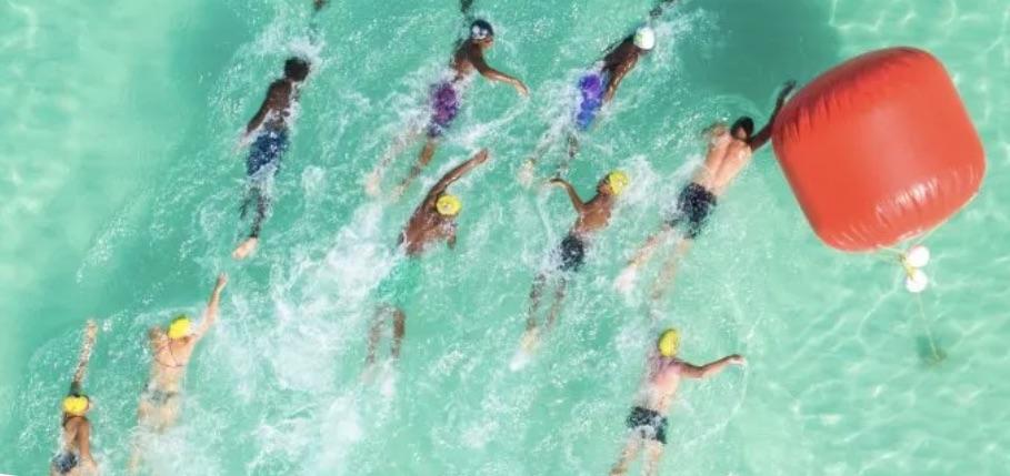 Race for the Conch Eco-SeaSwim