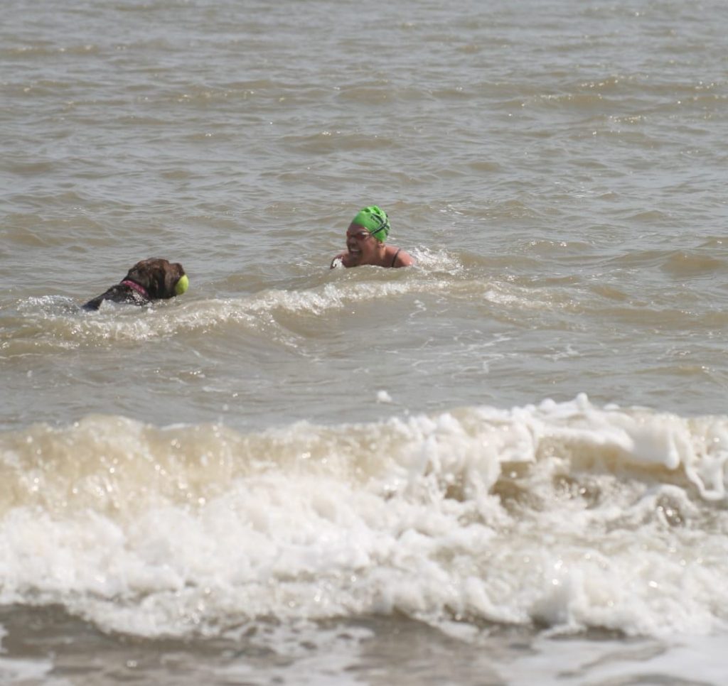 Swimming from Sealand for Aspire: The author finishing her swim, still in the sea, with her dog Jess swimming out to meet her.