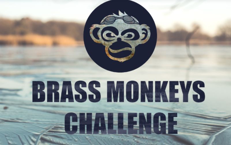 Brass Monkeys Challenge
