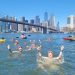 Swimming in New York City