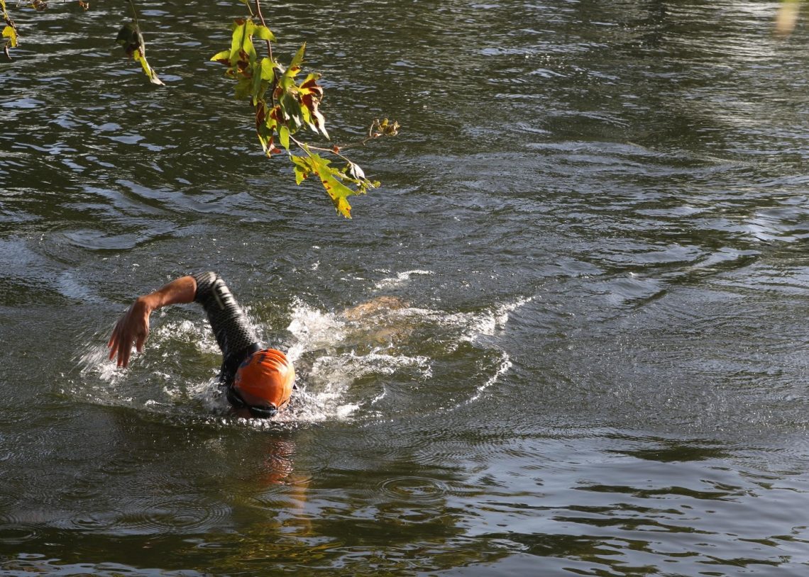 A swimmer in a wetsuit in a river, swimming towards the camera.