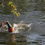 A swimmer in a wetsuit in a river, swimming towards the camera.