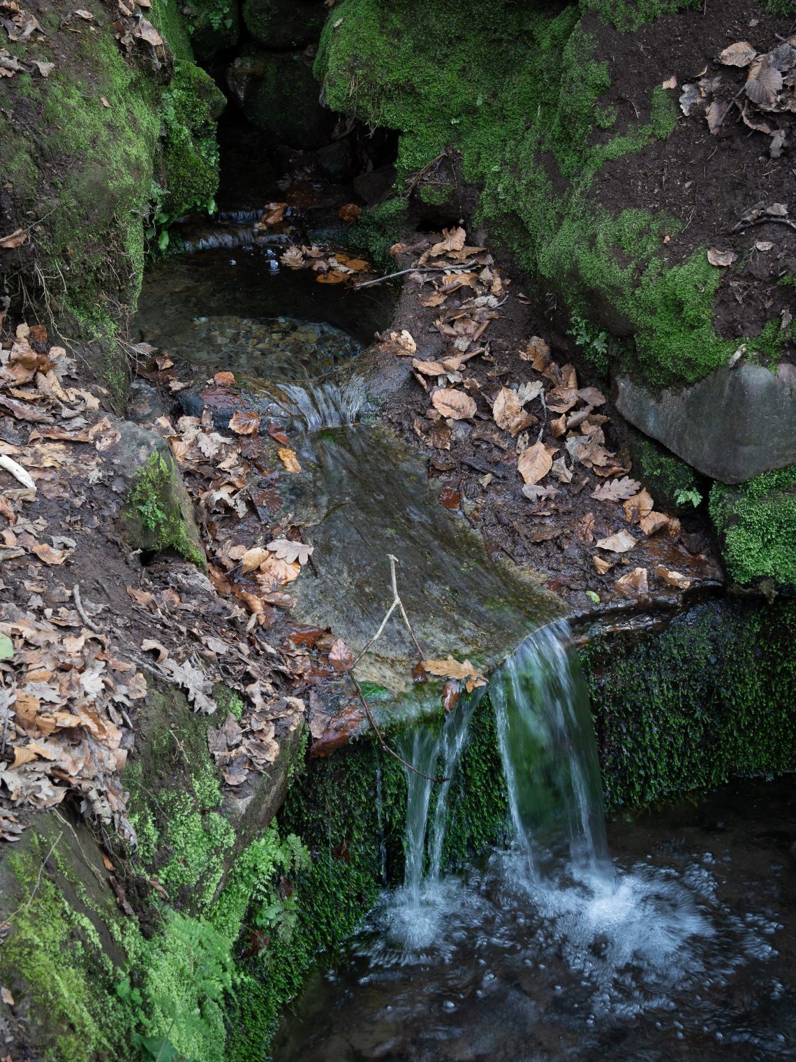 Spring Clean: the healing waters of springs - Outdoor Swimmer Magazine