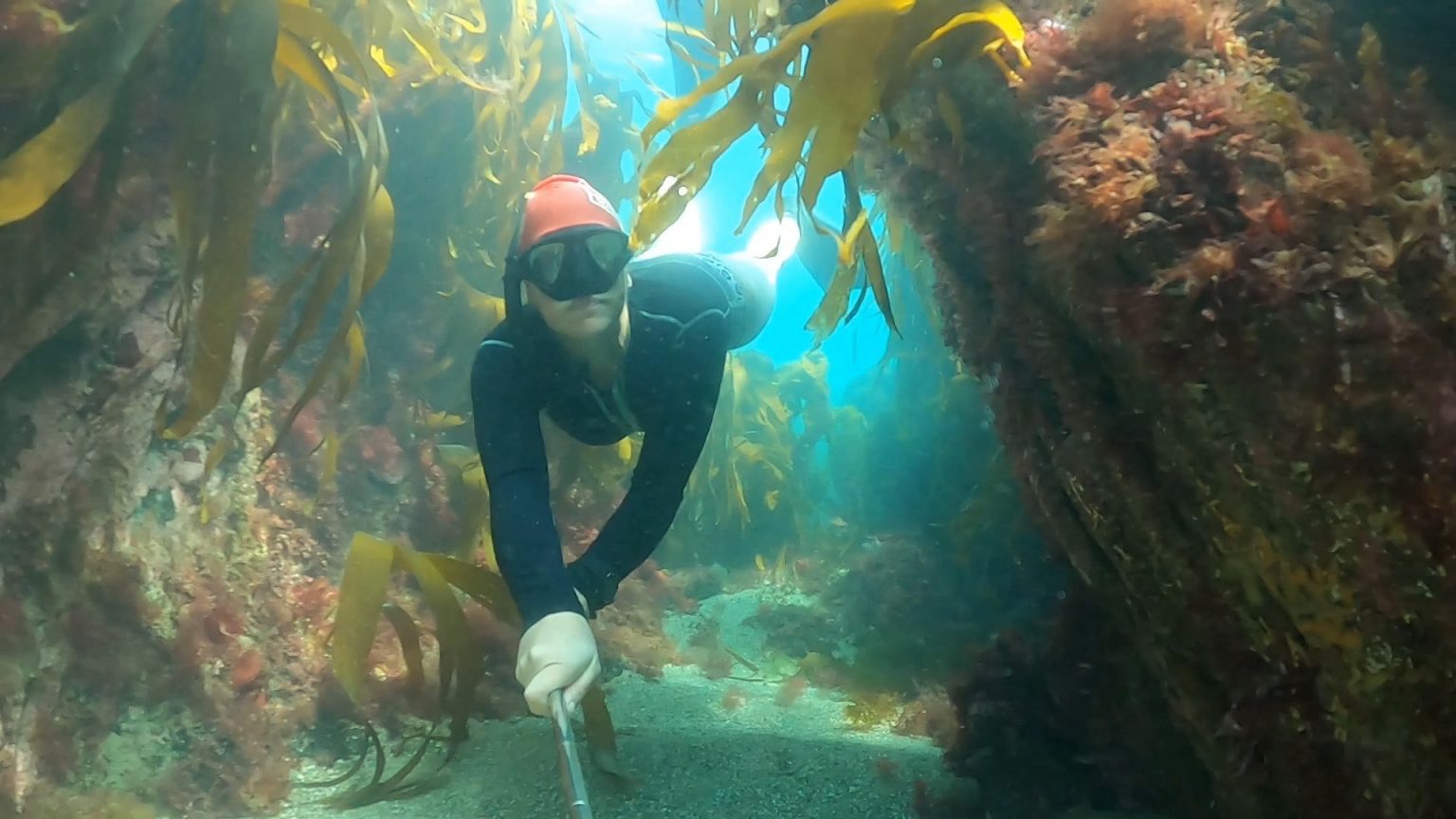 Marine meditation: is freediving a natural extension of outdoor ...
