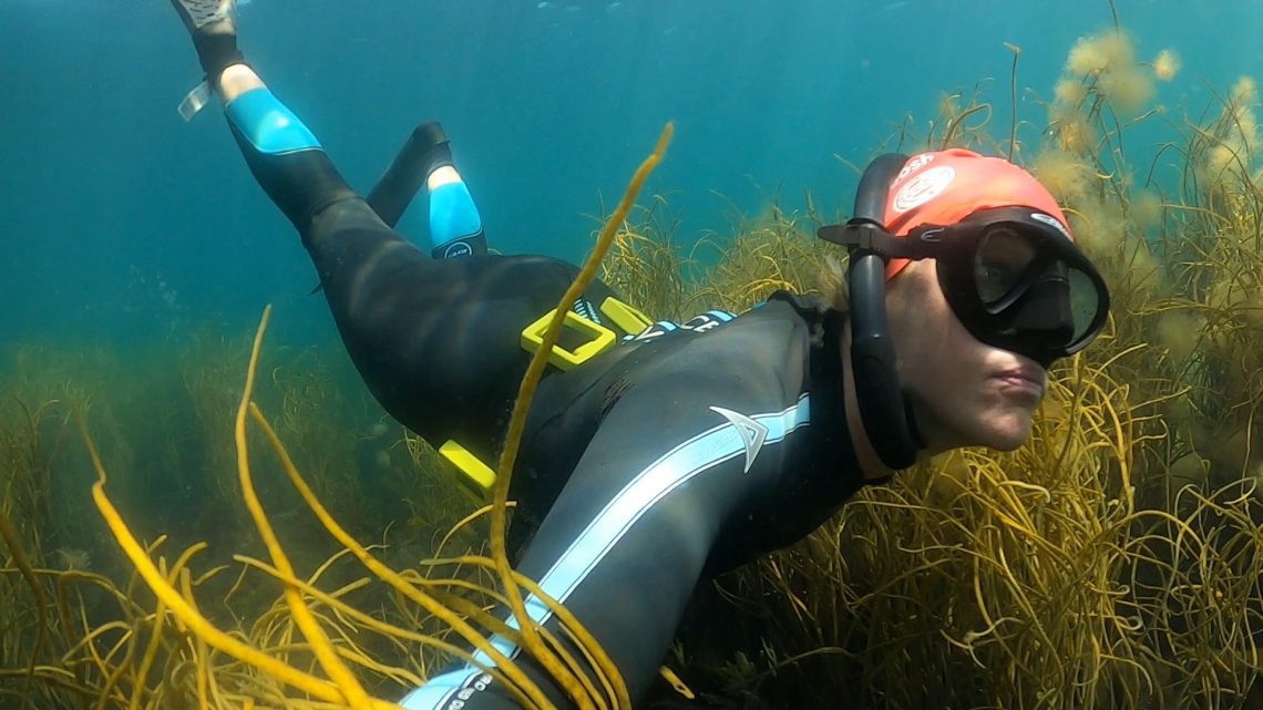Marine meditation: is freediving a natural extension of outdoor ...