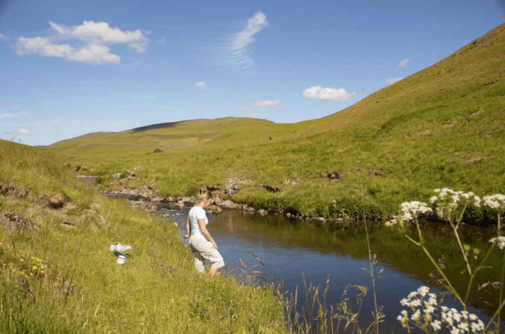 Wild swimming north east England