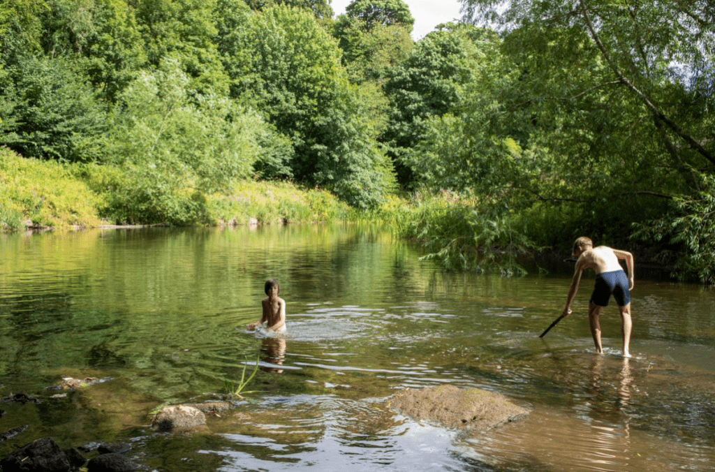 Wild swimming north east England