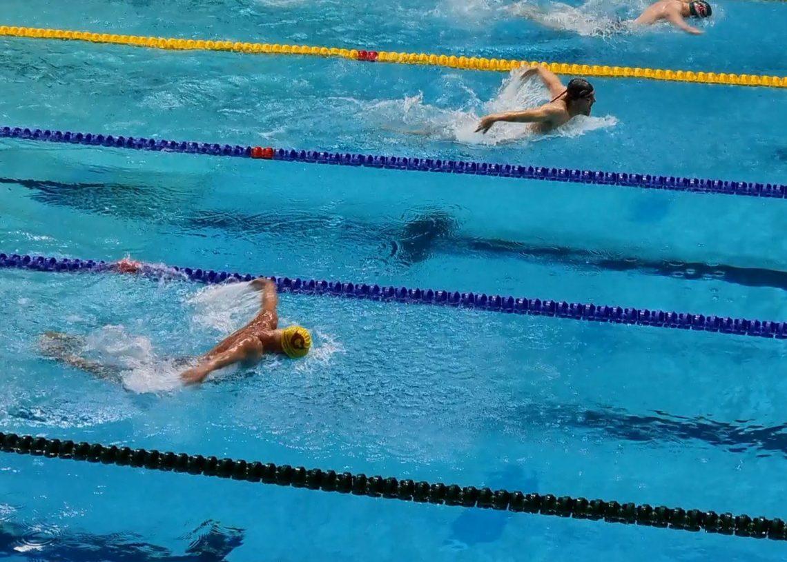 Butterfly swimmers in a race