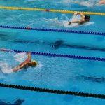 Butterfly swimmers in a race