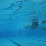 An underwater view of a male swimmer in a pool