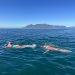 Swim South Africa