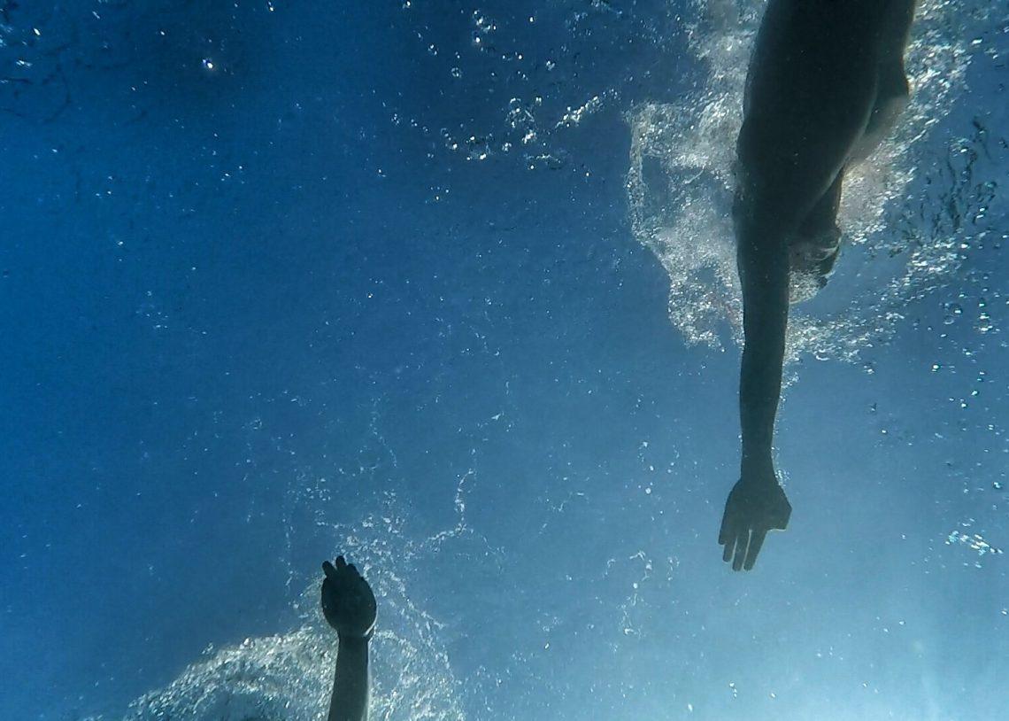 Shark's eye view of two swimmers swimming towards each other