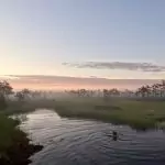 Swimming holiday Estonia