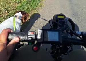 Sophie Etheridge December