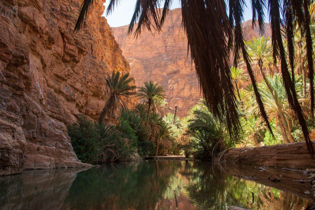 Wild swimming Morocco