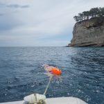 long distance swim