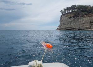 long distance swim