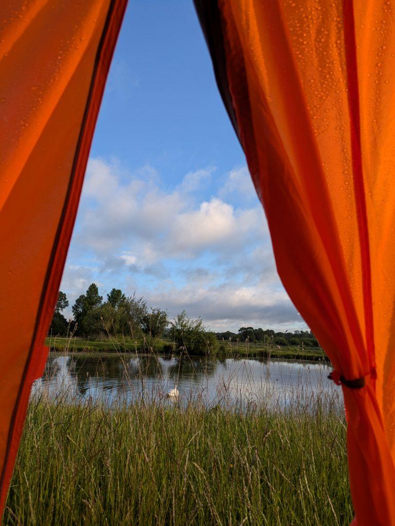 CampWild
