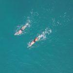 Long distance swimming