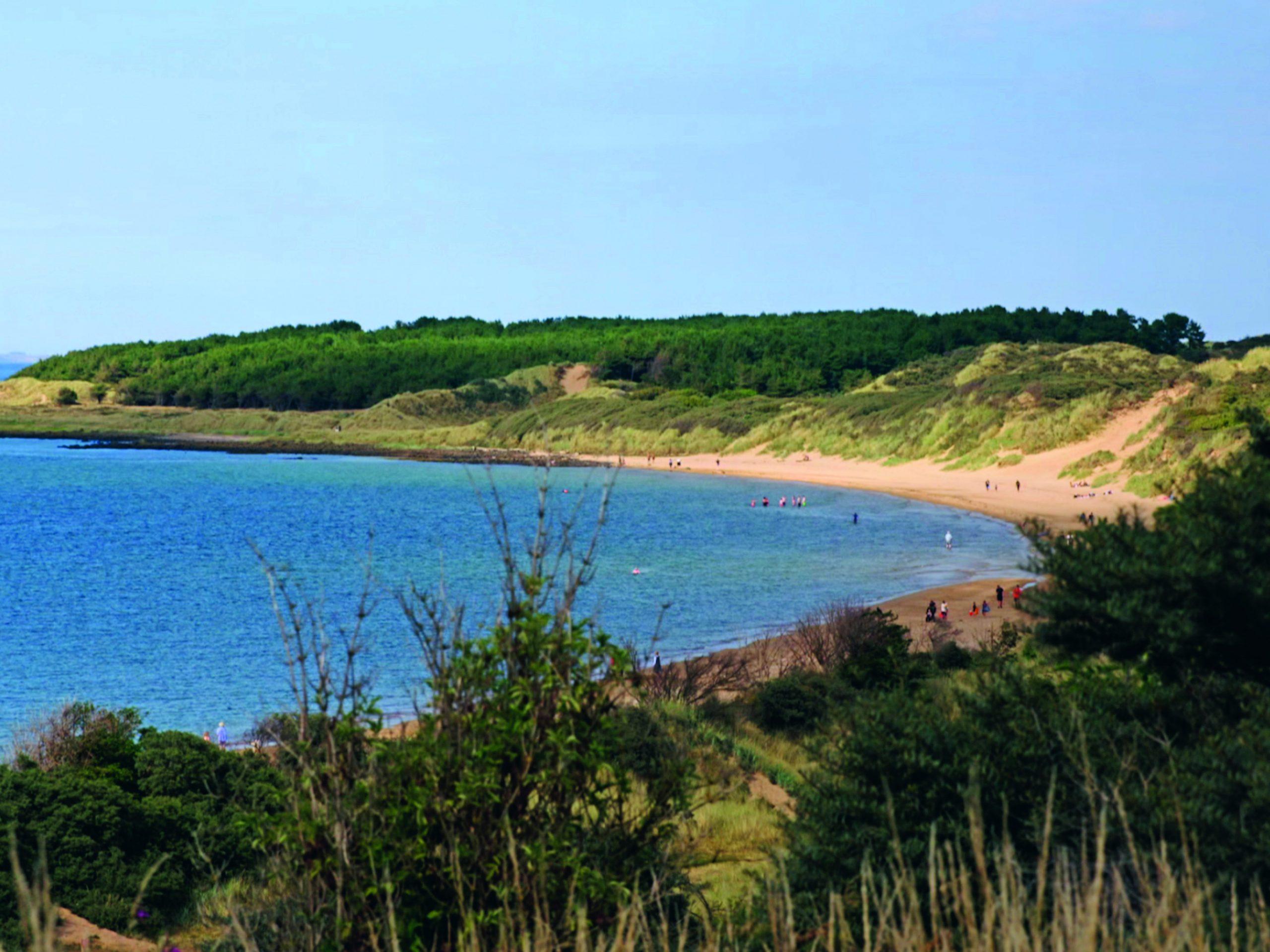 Jules and Greg's Wild Swim