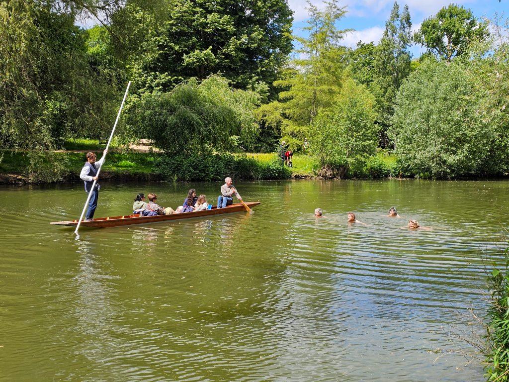 Thames swim walks