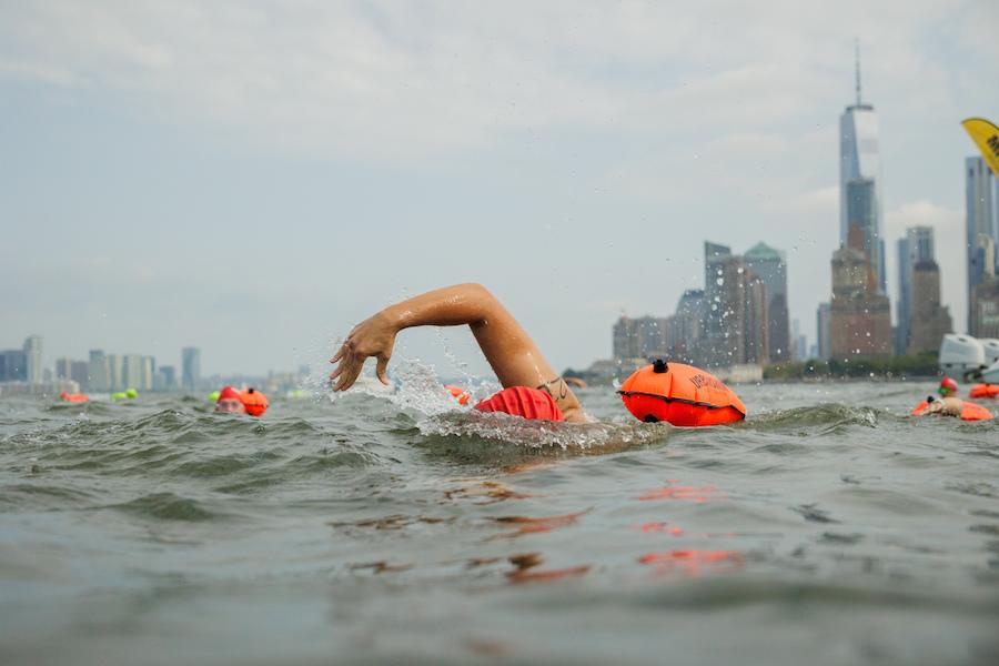 NYC Oyster Swim