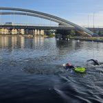 Plan a swim adventure