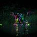 night swimming