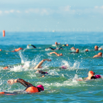 Swim Brighton swimmers in the sea off Brighton's sea front