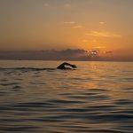 Swimming holiday Maldives