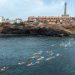 Costa Calida Open Water