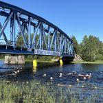 Vansbrosimningen