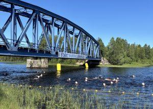 Vansbrosimningen