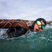 thermal wetsuits