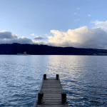 Transient Global Amnesia (TGA)