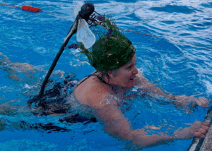 winter swimming